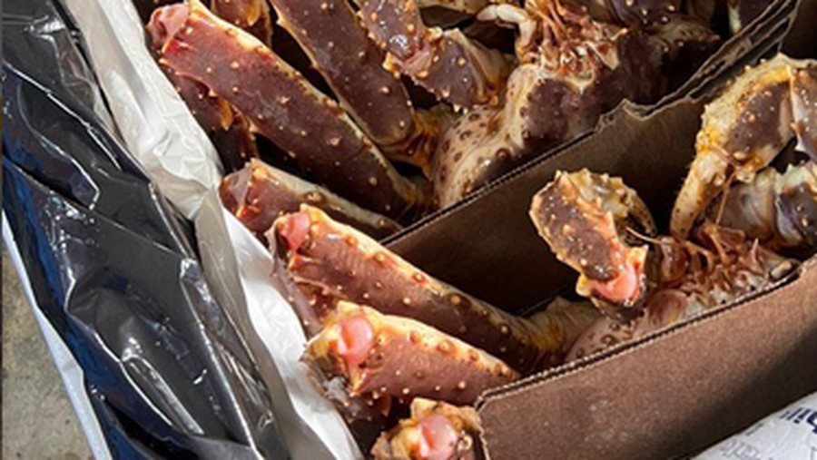 Lisa Mariana Keracunan Kepiting Alaska