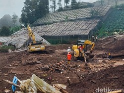 Pencarian Korban Longsor Cisarua: 41 Teridentifikasi