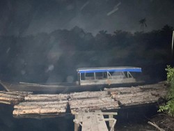 Polda Riau Bongkar Illegal Logging: Sita Kayu Gelondongan dan Jerat 3 Pelaku