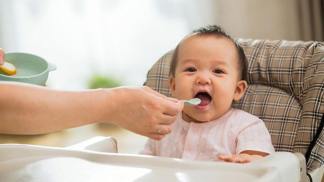10 Resep Makanan Untuk Bayi 10 Bulan Agar Tidak Bosan, Bergizi Dan Praktis