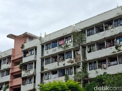 Malangnya Rusun Tepi Laut Jakarta: Lantai Retak, Tembok Tumbuh Tanaman