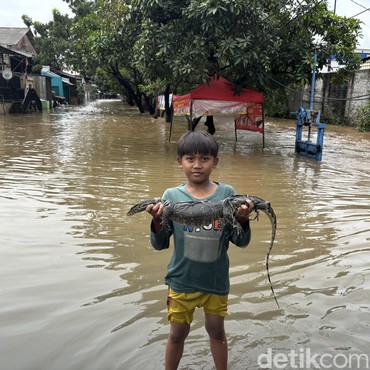 Jarang Menyerang Manusia, Ini Jenis Ular yang Dikenal Paling Tidak Agresif