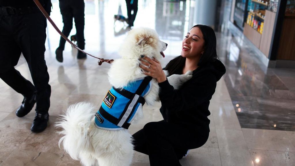 FOTO: Gemas Anjing di Bandara Meksiko, Penghilang Stres Jelang Terbang