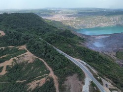 Ada 47 Orang Utan di Lanskap Karaitan yang Diselamatkan Sejak 2024