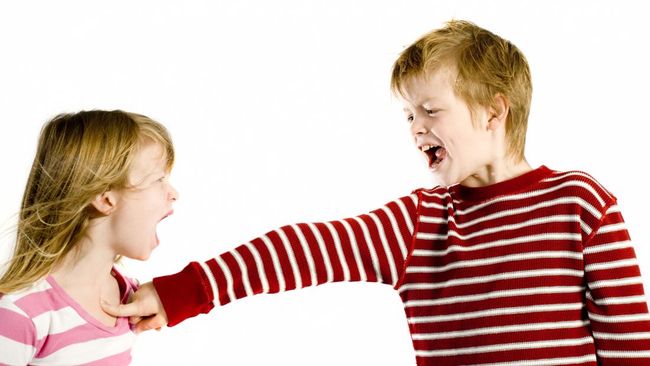 Ada beberapa kepribadian yang khas dimiliki oleh anak sulung.