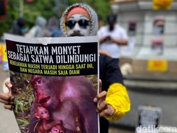 Aksi Mimer Bandung Serukan Monyet Agar Jadi Hewan yang Dilindungi