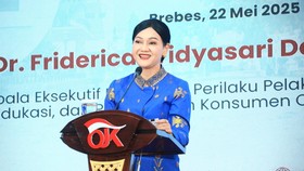 Friderica Widyasari Rangkap Jabatan Ketua dan Wakil Ketua OJK