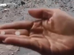 Hujan Es-Angin Kencang Terjang Purbalingga, Puluhan Pohon Tumbang