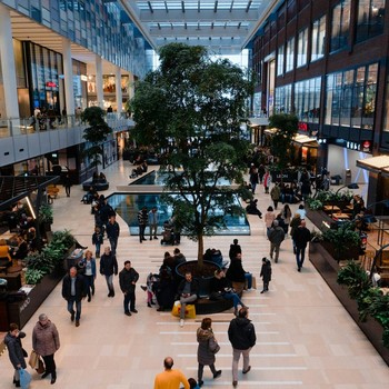 5 Fakta Menarik tentang Mal yang Mungkin Belum Pernah Kamu Dengar