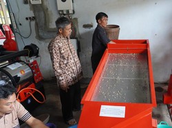 3 Dosen UK Petra Surabaya Modernisasi Petani Kopi di Malang