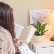 5 Rekomendasi Novel Genre Fantasi dengan Rating Tinggi