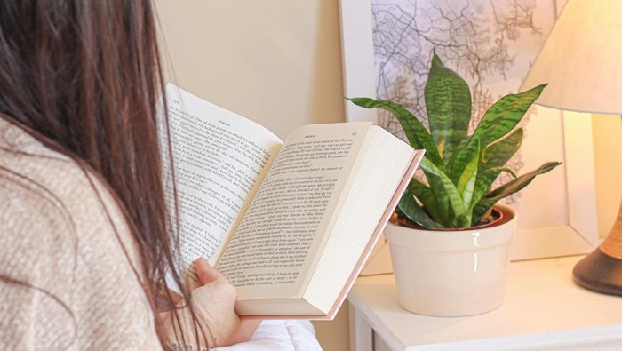 5 Rekomendasi Novel Genre Fantasi dengan Rating Tinggi