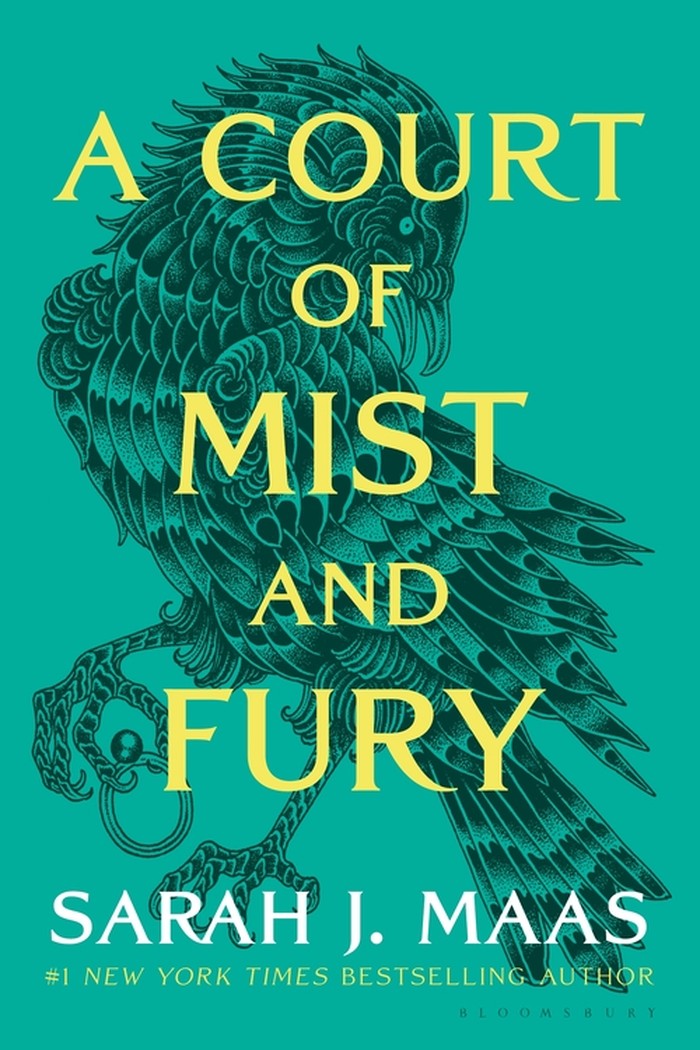 A Court of Mist and Fury mengubah segalanya dengan memperkenalkan Rhysand sebagai tokoh utama dan chemistry yang luar biasa dengan Feyre.