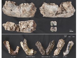 Fosil Spesies Manusia Purba Berusia 2,6 Juta Tahun Ditemukan di Etiopia!