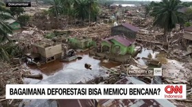 VIDEO: Bagaimana Deforestasi Bisa Memicu Bencana?