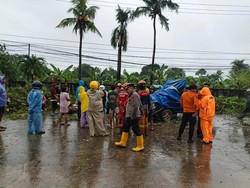 Pedagang Rambutan Luka Tertimpa Pohon Tumbang di Jalan Ir Sutami Makassar