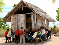 Witi Orin, Tradisi Memindahkan Rumah dengan Tenaga Manusia di Flores NTT