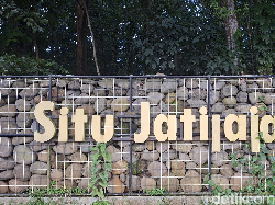 Wisata Murah Meriah di Depok, Keliling Situ Jatijajar Naik Perahu Bebek Rp 20.000