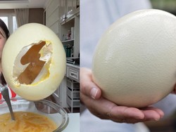 Ukurannya Jumbo, Ini Fakta Telur Unta yang Viral Dicicipi Food Vlogger