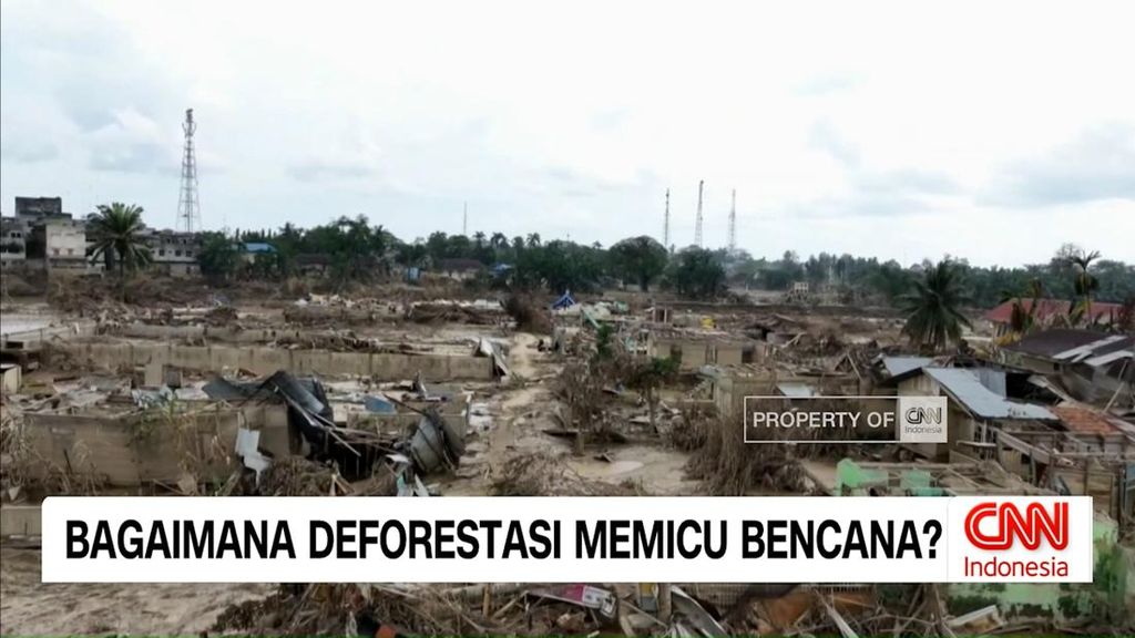 VIDEO: Deforestasi dan Cuaca Ekstrem, Pemicu Bencana di Indonesia?