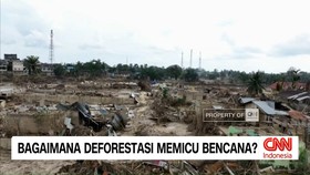 VIDEO: Deforestasi dan Cuaca Ekstrem, Pemicu Bencana di Indonesia?