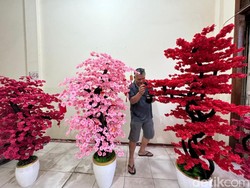 Perajin Bunga Keberuntungan di Pontianak Banjir Pesanan Jelang Imlek