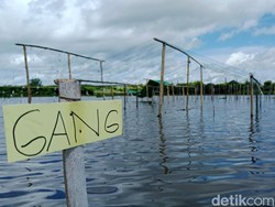 Banjir Tak Surut, Festival Bau Nyale di Pantai Kaliantan Terancam Sepi