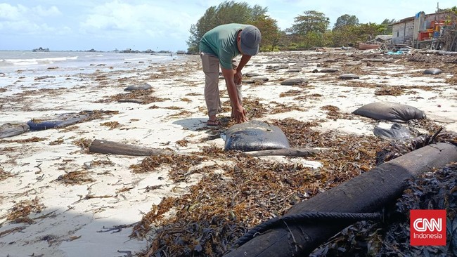 Nelayan di Pulau Pucung resah akibat pencemaran limbah minyak hitam. Dinas Lingkungan Hidup Kepri berupaya menangani dan membersihkan pencemaran tersebut.