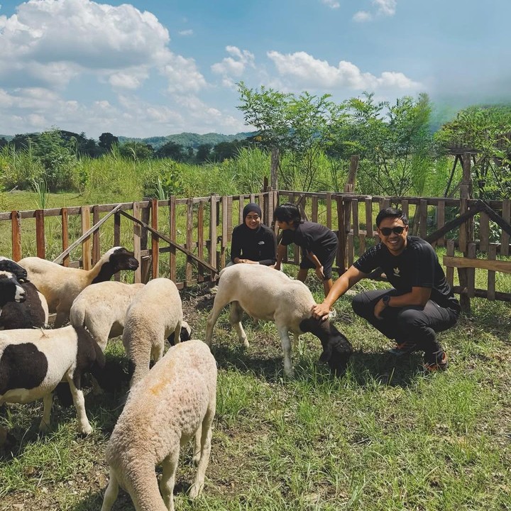 <p>Ayudia juga pernah mengunggah video peternakannya yang cukup luas, dengan hamparan rerumputan hijau dan pemandangan gunung yang asri. "Sampai di Klaten, nengokin peternakan kita! Belajar lagi, belajar terus biar bisa bikin peternakan yang baik, hewannya sehat-sehat dan bahagia," tulis Ayudia lewat <em>caption</em> di Instagram. (Foto: Instagram @dittopercussion/ @ayudiac)</p>