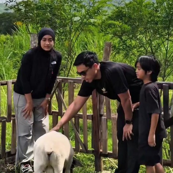 <p>Ayudia dan Ditto diketahui menjalankan bisnis peternakan domba di Klaten, Jawa Tengah. Melalui unggahan di Instagram, Ditto pernah membagikan aktivitasnya saat mengecek domba-domba peliharaan bersama sang istri dan anak semata wayang mereka, Dia Sekala Bumi. "Cek peternakan kami, "DIDO FARM" Peternakan dorper. Per jalanan di tempuh kurang lebih selama satu jam menuju klaten. Semua <em>happy</em> liat domba-domba kita tumbuh sehat, tambah lagi beberapa lagi pada hamil anak domba, sekaligus hari ini waktunya mereka USG. Mantap hahaha!" tulisnya dalam satu unggahan. (Foto: Instagram @dittopercussion/ @ayudiac)</p>