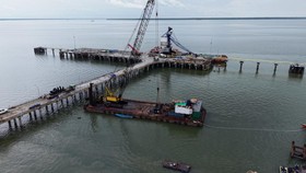 Mentan Sebut Food Estate Merauke Bakal Jadi Motor Ketahanan Pangan