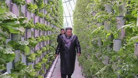 Pemimpin Korea Utara Kim Jong-un dilaporkan mengalami obesitas parah hingga 140 kilogram.