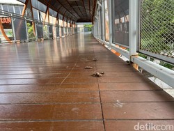 Duh! Kotoran Kucing Berserakan Lagi di Skywalk Kebayoran Lama Jaksel