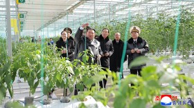 Kim Jong Un Buka Pertanian Rumah Kaca Terbesar di Korea Utara