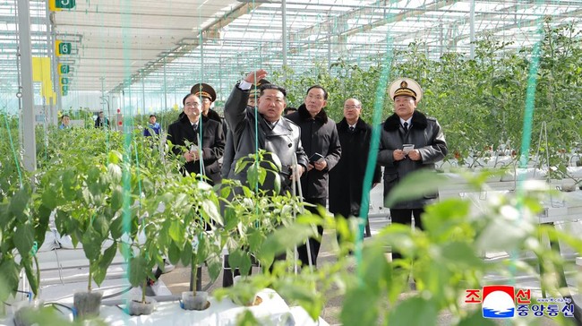 Kim Jong Un resmikan pertanian rumah kaca terbesar di Korut, demi genjot produksi sayuran.