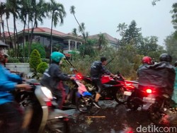 Angin Kencang Terjang Surabaya, Puluhan Pohon Tumbang-Dua Rumah Rusak