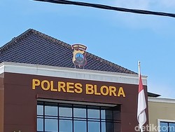 Pria Tendang Kucing hingga Mati di Blora, Pelaku Ngaku Sudah Ingatkan Pemilik