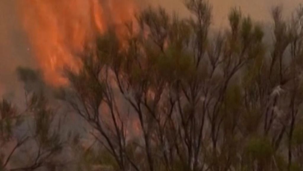 Kebakaran Hutan di Argentina, Lahan Seluas 2 Kali Buenos Aires Hangus