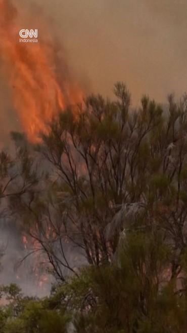 Kebakaran Hutan di Argentina, Lahan Seluas 2 Kali Buenos Aires Hangus