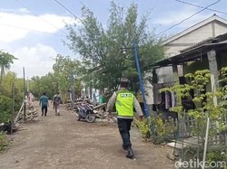 Balita di Demak Dilarikan ke RS Usai Diserang Monyet Liar