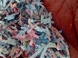 Heboh Temuan Cacahan Kertas Diduga Uang Rp 100 Ribu di TPS Liar Bekasi