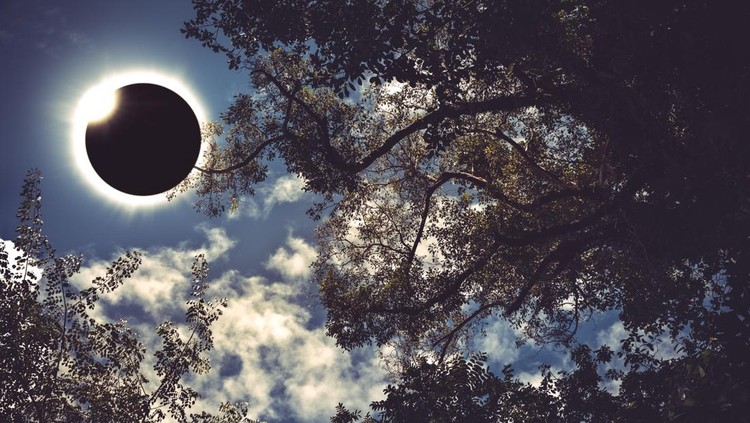 Amazing scientific natural phenomenon&period; Diamond ring&comma; prominence and internal corona&period; Total solar eclipse glowing on blue sky above silhouette of trees&comma; serenity nature&period; Abstract fantastic background&period;