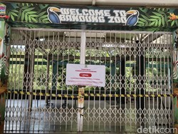 Farhan Jamin Jaga Satwa Kebun Binatang Bandung Usai Penyegelan