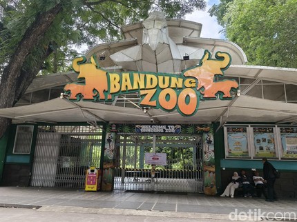 Kemenhut Cabut Izin Pengelola Bandung Zoo, Bagaimana Nasib Satwa?