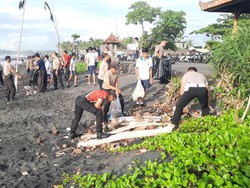 Pantai Purnama Gianyar Dibersihkan Seusai Prabowo Kritik Bali Kotor