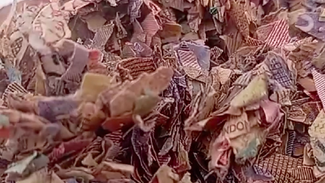 DLH Kabupaten Bekasi memastikan cacahan kertas yang ditemukan di TPS liar di Kabupaten Bekasi, Jawa Barat (Jabar) merupakan uang asli.