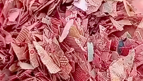 Cacahan Uang di Bekasi Hasil Pemusnahan BI, Harusnya ke Bantargebang