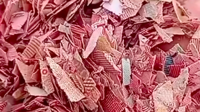 Bank Indonesia (BI) tengah menelusuri temuan cacahan uang kertas rupiah di tempat pembuangan sampah (TPS) liar di Kabupaten Bekasi, Jawa Barat.