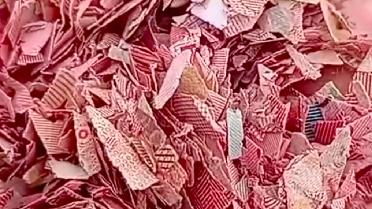 BI Telusuri Temuan Cacahan Uang di TPS Liar Bekasi