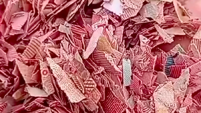 BI Telusuri Temuan Cacahan Uang di TPS Liar Bekasi